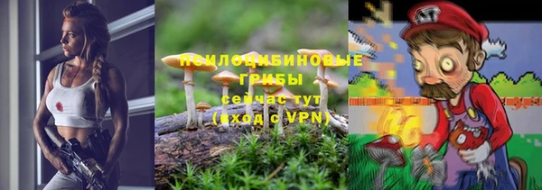 СК Олёкминск