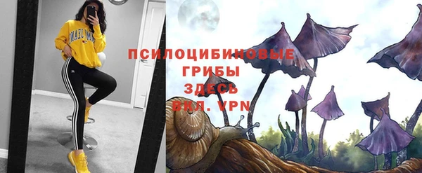 прущая мука Мегион